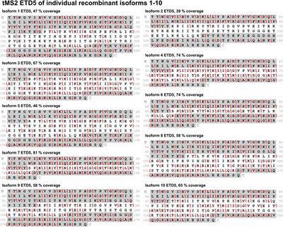Development of a top-down MS assay for specific identification of human periostin isoforms